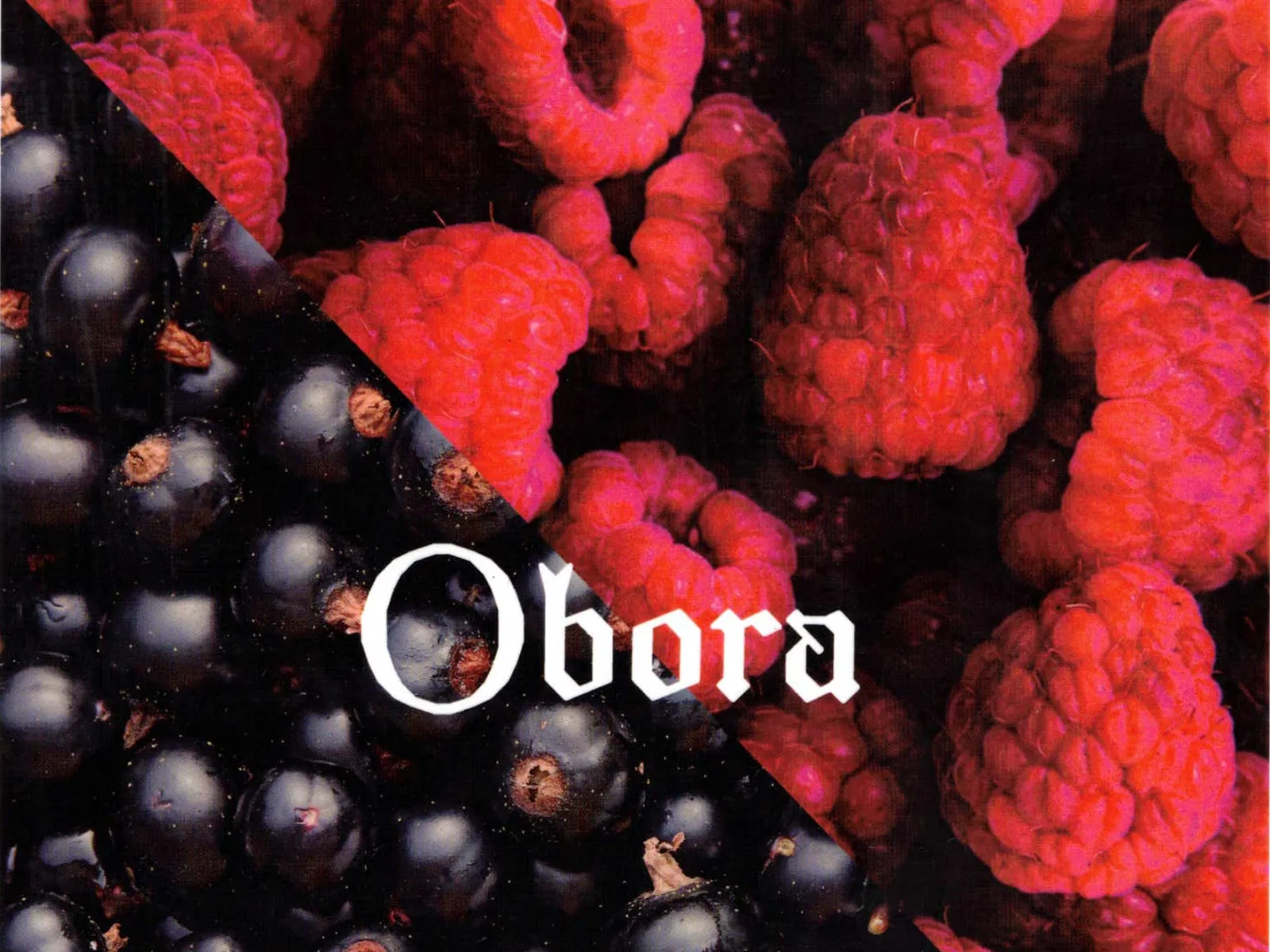 Black Currant & Raspberry 12° — Philadelphia Sour, Obora