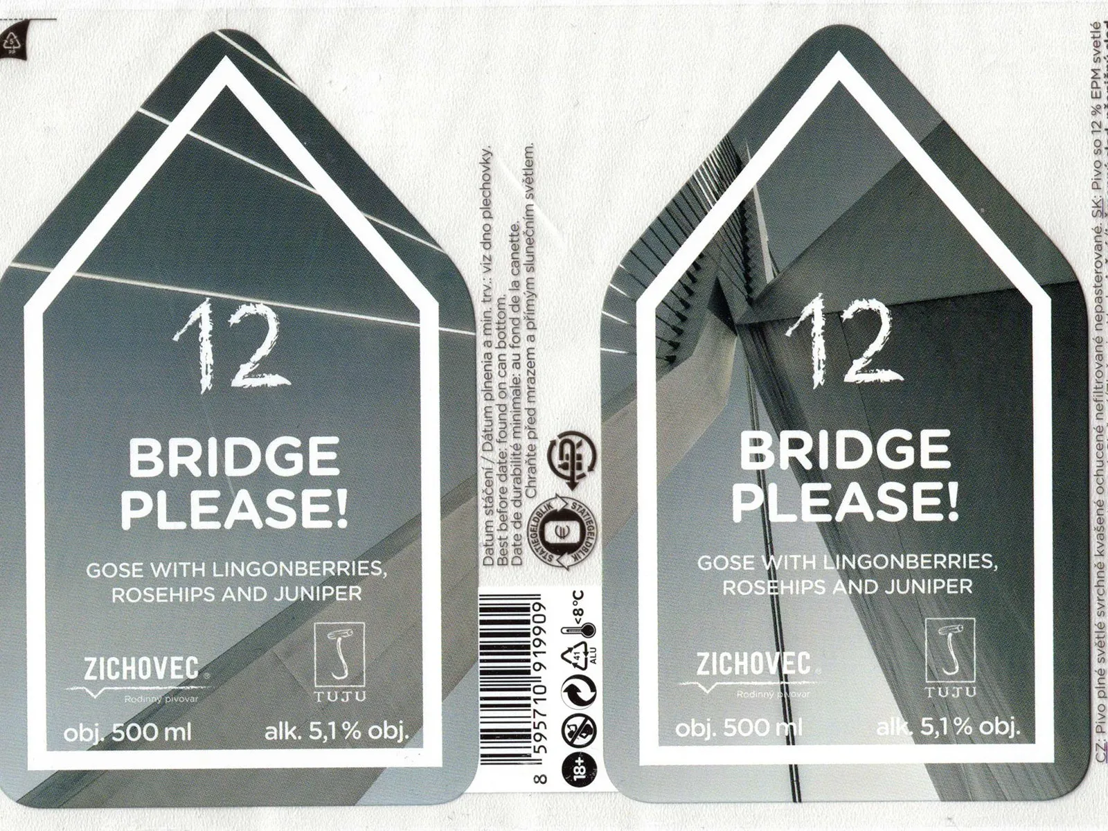 Bridge Please! 12° — Gose, Zichovec